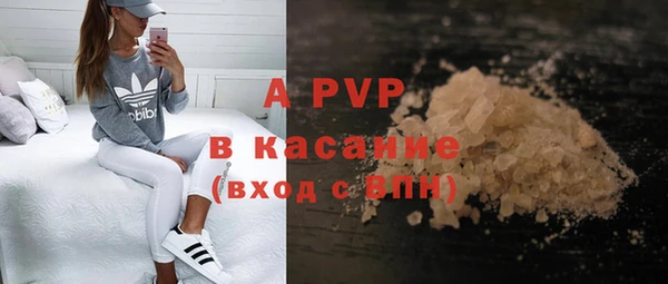 СК Алексин