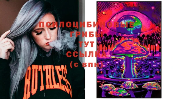 СК Алексин