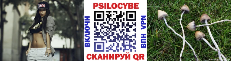 закладки  Анадырь  Галлюциногенные грибы Psilocybine cubensis 
