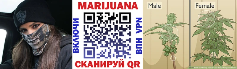 Каннабис индика  Анадырь 